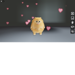 pomeranians rule the dog world i dont know