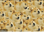 im in a alt
