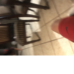 69 the snitch