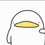 자네들