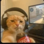 Vixno Group Thumbnail