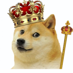United dog s