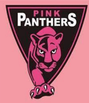 PINK PANTHERS GYMNASTICS/CHEER TEAM!