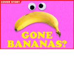 Banana Club Trampoline park