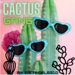 Cactus Gang Group