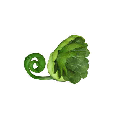 BonkChoy
