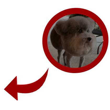 Zawg in Red Circle