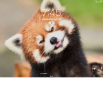 Red pandas are cool group