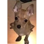 Ding. Dong