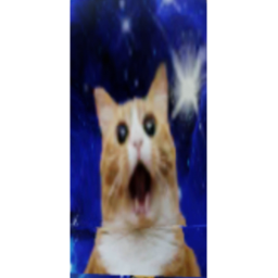 MR. PARTY CATS FUN PARTY