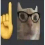 Eggcat!