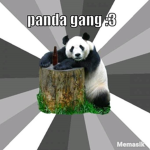 Pro panda gang