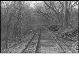 The Tracks