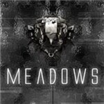 BWE | Meadows Facility