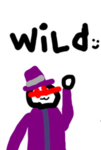WILD fun:)