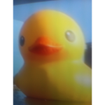 Ducky's Hangout
