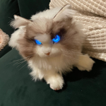 Neon cat squad