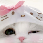 kitique