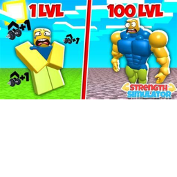 Strength Simulator