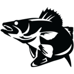 Walleye Company
