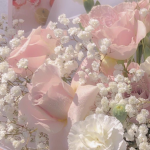 bunnies ୨୧
