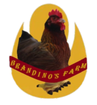 Brandino's Farm
