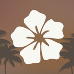 kalani airlines