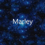 Marley's Group