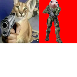 Floppa War