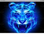 Frost tigers