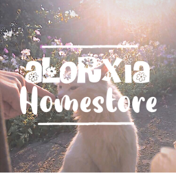 Alorxia's homestore :)