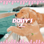 - daisy's closet!! -