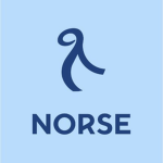 Norse Atlantic Roblox