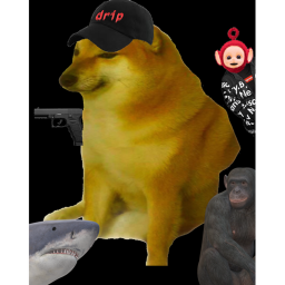 Admin City