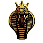 RICH king group