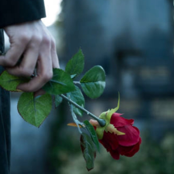 The Memorial 💔🕊️