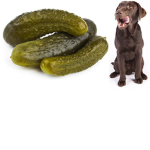 #PuppysquadPicles