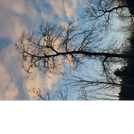 Blu3 Sky <3