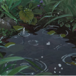 flowers in the rain