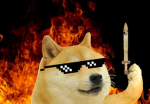 The doge of fire
