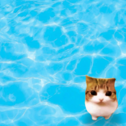 Cute Cat Meme Chilling in a Pool