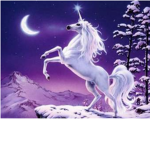 Unicorn Paradise Group