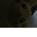 SAVAGE POKEMON