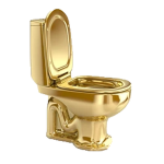 Nation of The Toilets