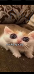 I farted and poop almost slipped out!! Oopsies