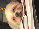 Little Lucky