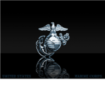U.S BLACK-OPS ELITE