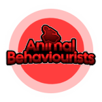 KP | Animal Behaviourists