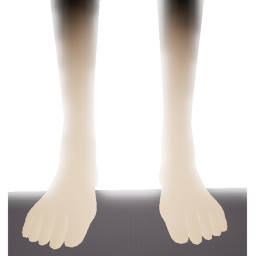 LEGS