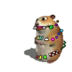 Mega Fun Chomik